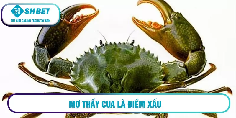 Mơ thấy bắt cua đánh số mấy? Mơ thấy cua là điềm gì? 1 Mơ thấy đi mua cua là điềm gì?