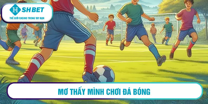 Mơ đá bóng đánh con gì? Sổ mơ chính xác nhất hiện nay 3 Mơ đá bóng đánh con gì?